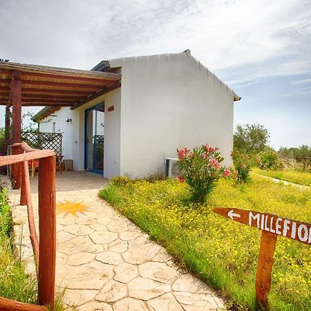 Villa Agriturismo Mieleamaro à Olbia Extérieur photo