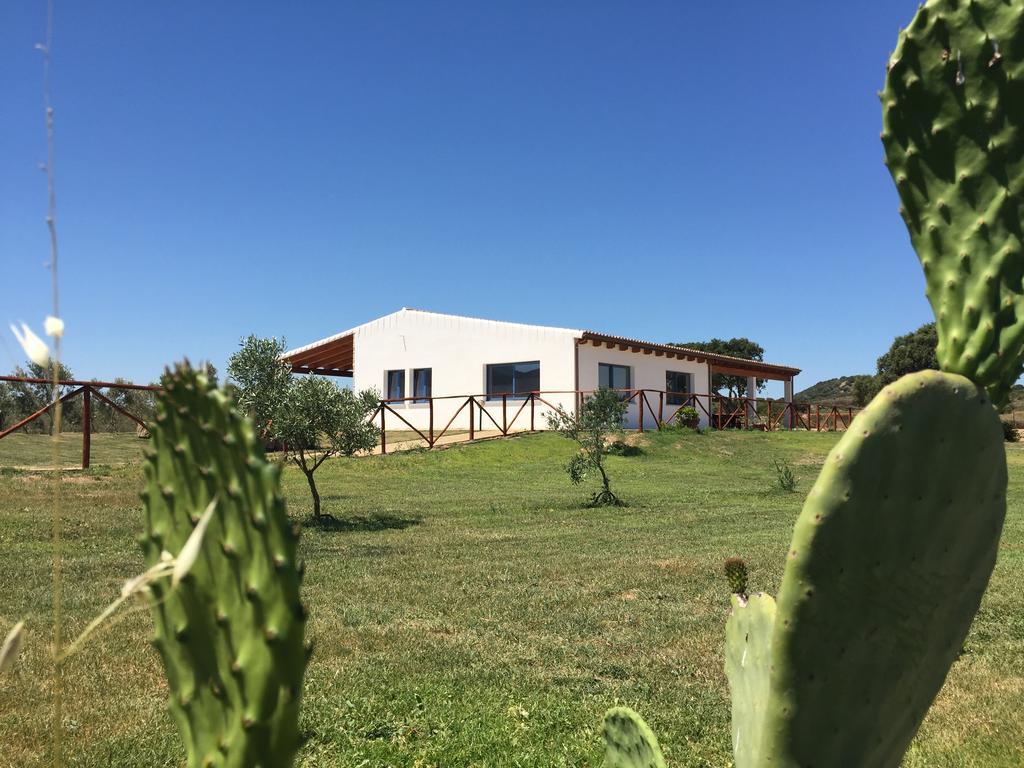 Villa Agriturismo Mieleamaro à Olbia Extérieur photo