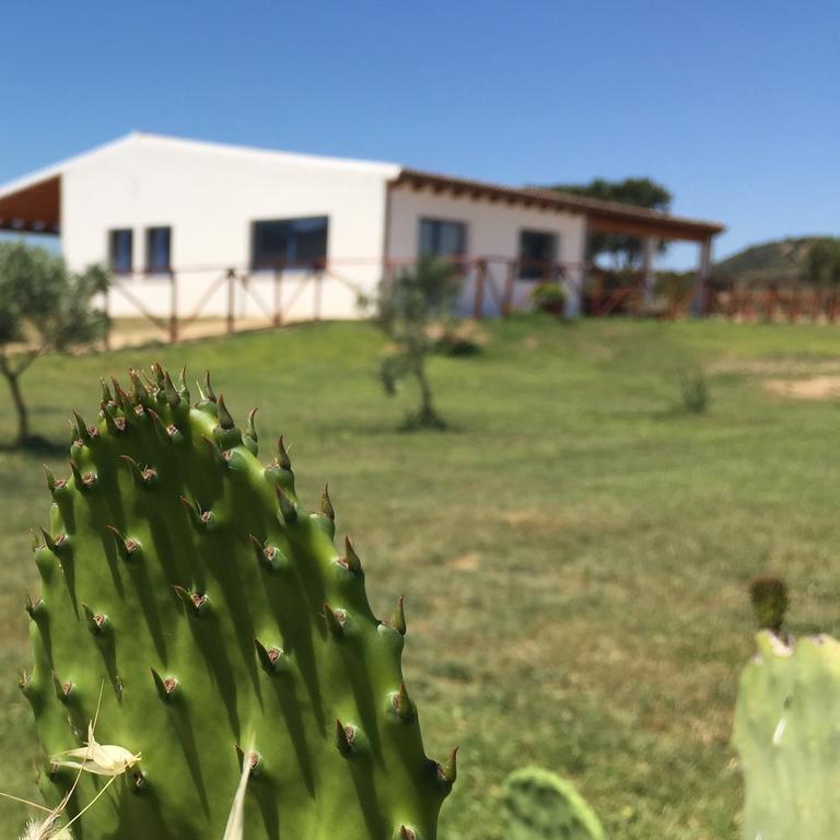 Villa Agriturismo Mieleamaro à Olbia Extérieur photo