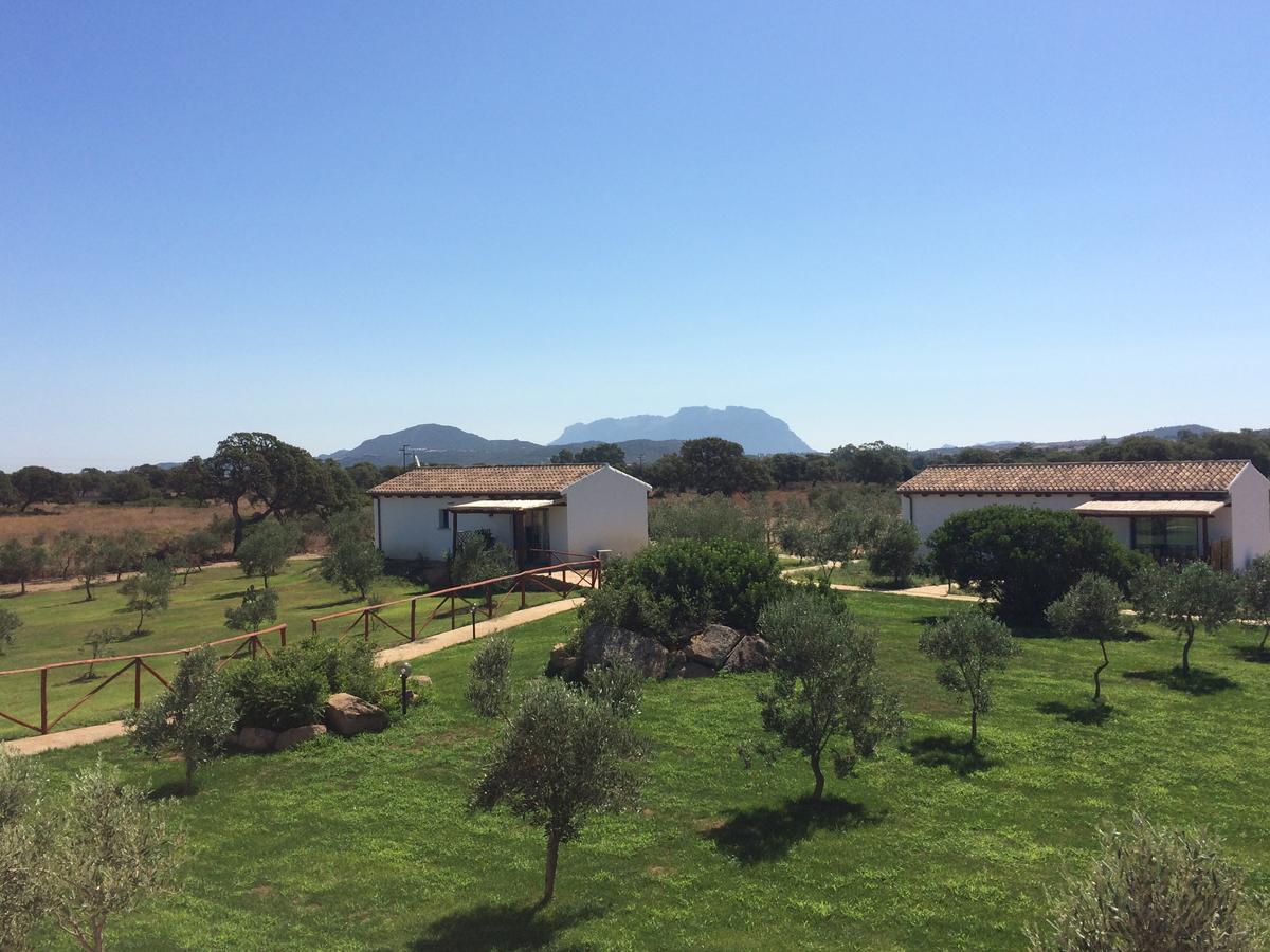 Villa Agriturismo Mieleamaro à Olbia Extérieur photo