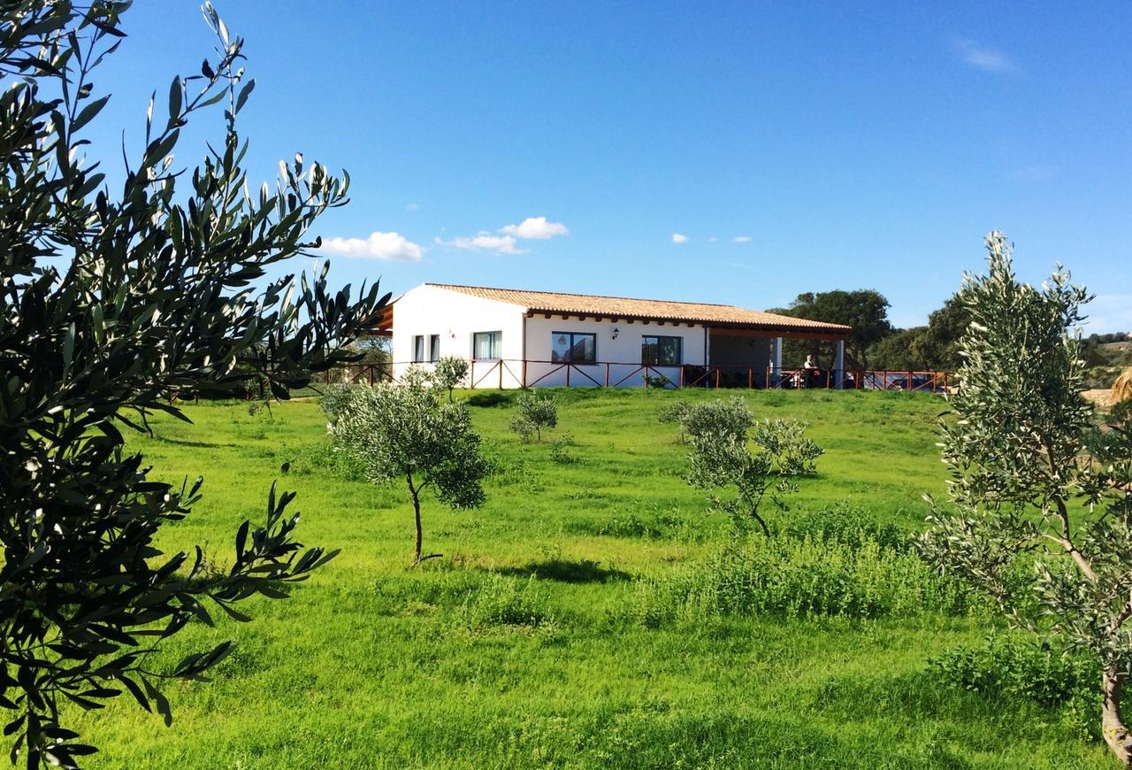 Villa Agriturismo Mieleamaro à Olbia Extérieur photo