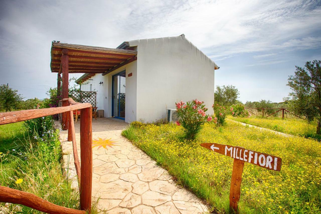 Villa Agriturismo Mieleamaro à Olbia Extérieur photo