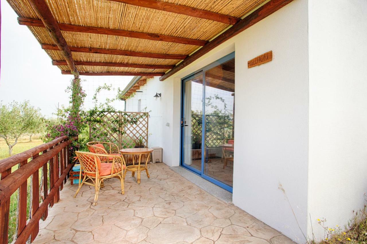 Villa Agriturismo Mieleamaro à Olbia Extérieur photo