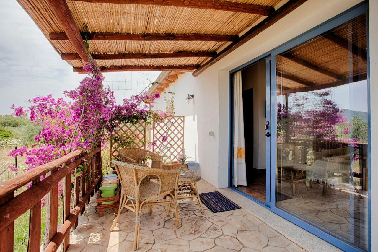 Villa Agriturismo Mieleamaro à Olbia Extérieur photo